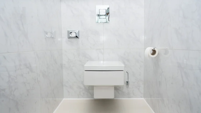 A Wall-Mounted Toilet Saves Floor Space but Asks More of the Wall